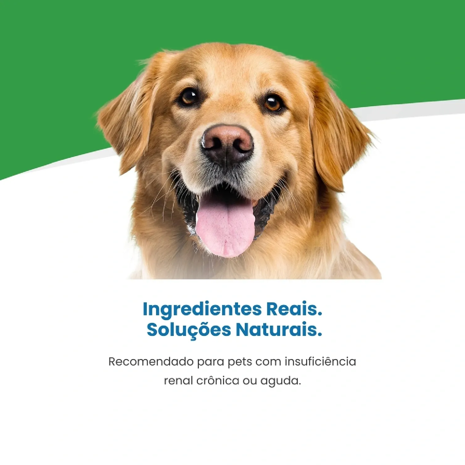 Racao Vet Life Natural Canine Renal 4